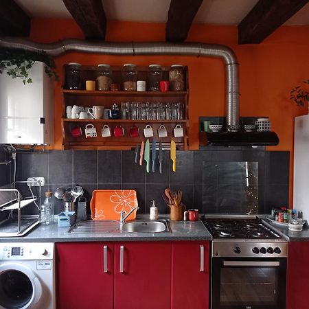 Albergue Olasenea Aterpea Zubieta Exteriér fotografie