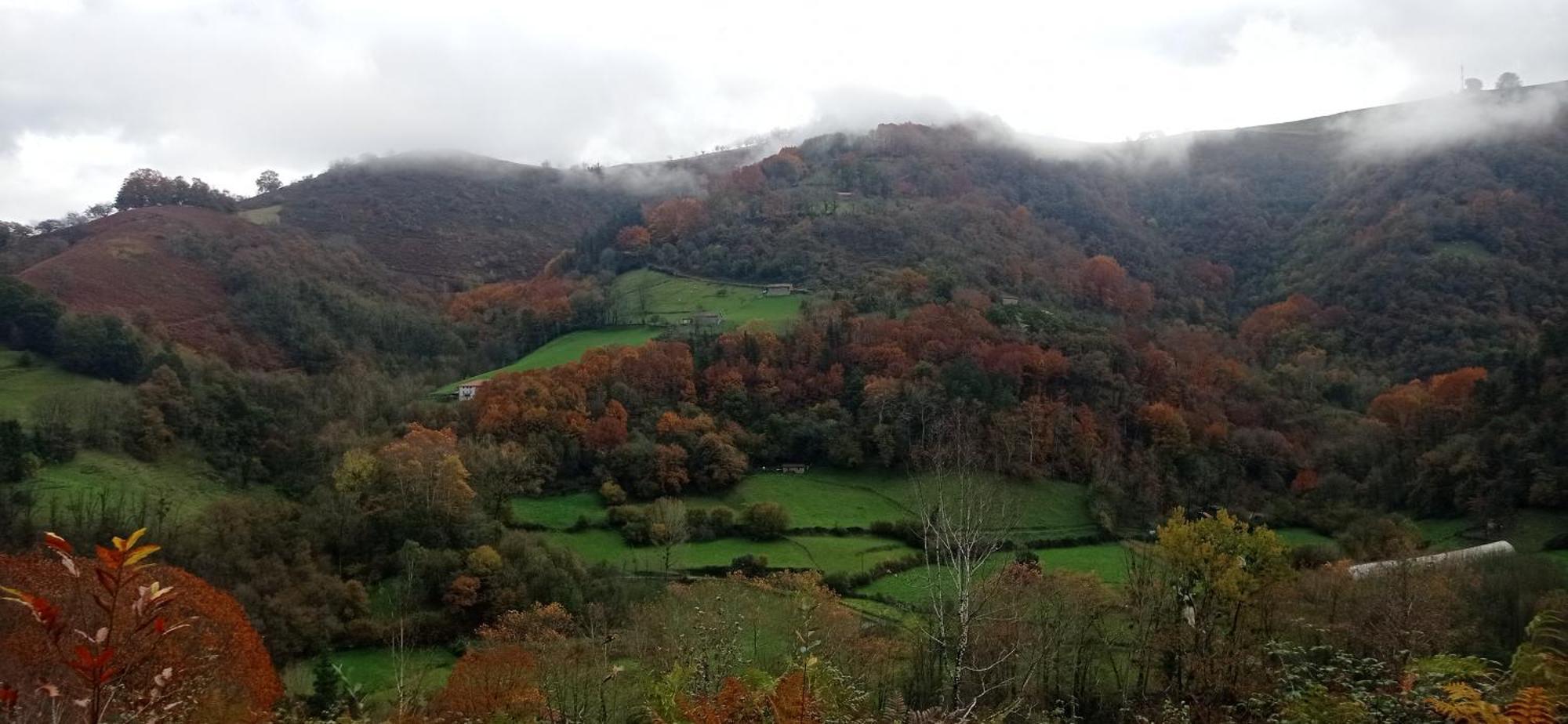 Albergue Olasenea Aterpea Zubieta Exteriér fotografie