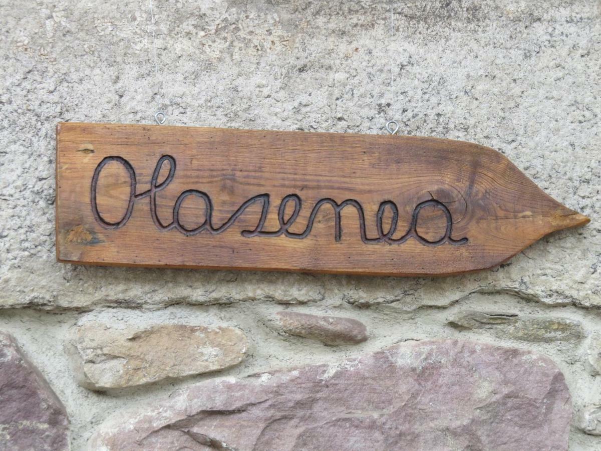 Albergue Olasenea Aterpea Zubieta Exteriér fotografie