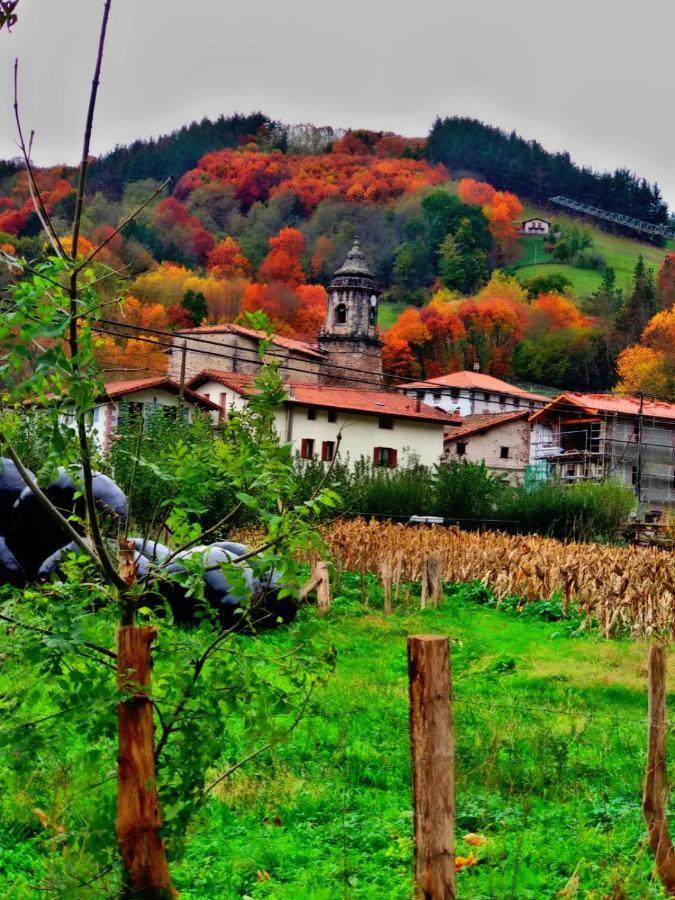 Albergue Olasenea Aterpea Zubieta Exteriér fotografie